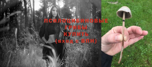крисы Балабаново